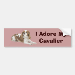 Cavalier King Charles Spaniel Bumpersticker