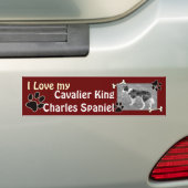 Cavalier King Charles Spaniel Bumpersticker (Op auto)
