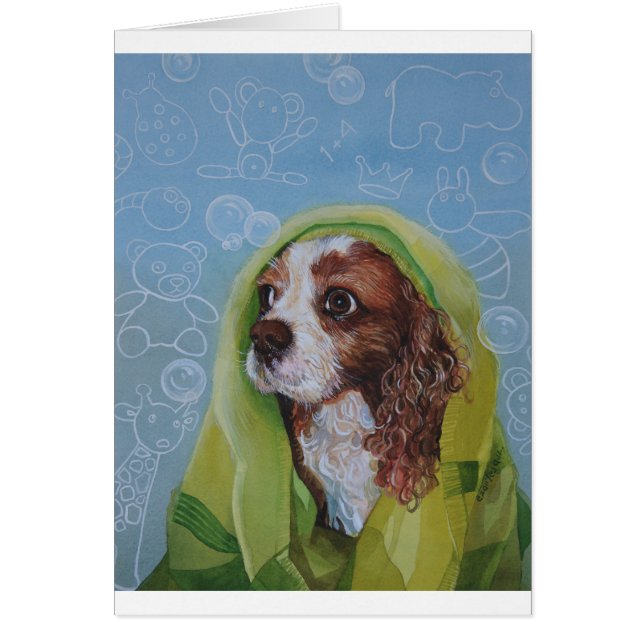 Cavalier King Charles Spaniel Chien (Devant)