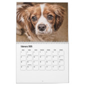 Cavalier King Charles Spaniel Chien Calendrier (Feb 2026)