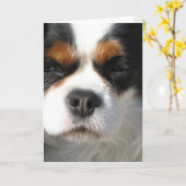 Cavalier King Charles Spaniel Chien Carte de voeux (Fleur jaune)