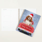 Cavalier King Charles Spaniel Chien neige noël (Devant avec enveloppe)