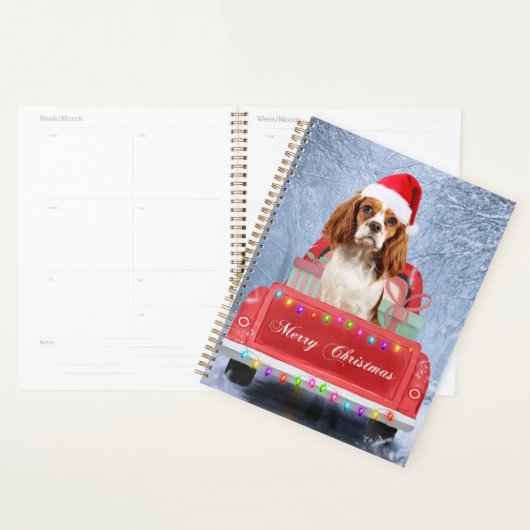 Cavalier King Charles Spaniel Chien neige noël (Devant avec enveloppe)