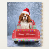 Cavalier King Charles Spaniel Chien Noël de Noël (Dos)