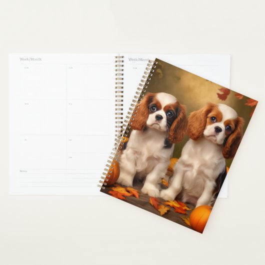 Cavalier King Charles Spaniel Chiot Citrouille d'a (Devant avec enveloppe)