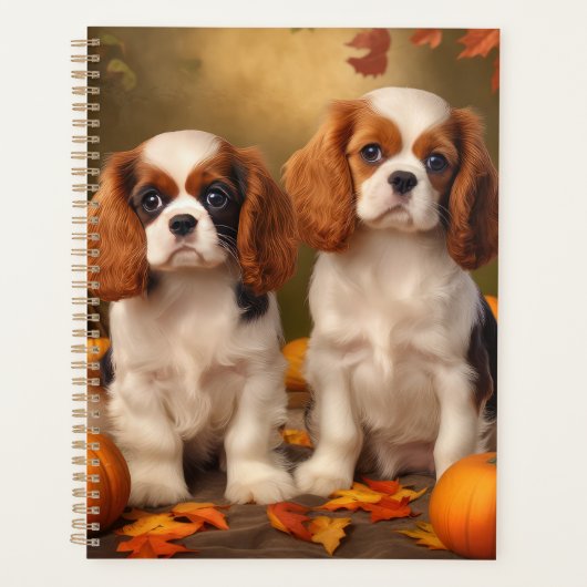 Cavalier King Charles Spaniel Chiot Citrouille d'a (Devant)