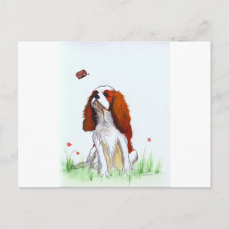 Cavalier King Charles Spaniel CKC Briefkaart