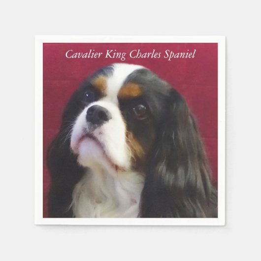 Cavalier King Charles Spaniel Cocktail servetten (Voorkant)