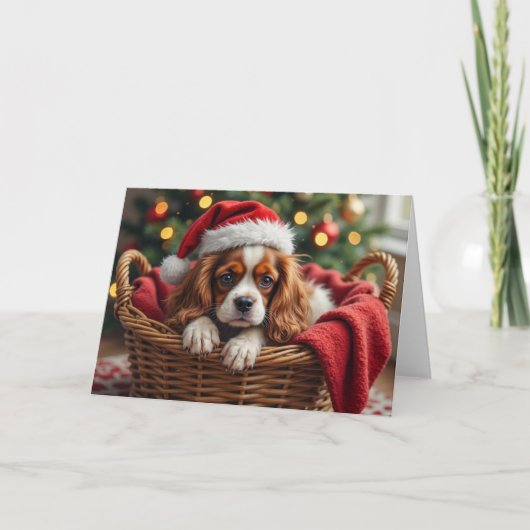 Cavalier King Charles Spaniel Cozy Basket Kaart (Voorkant)