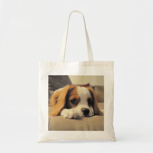 Cavalier King Charles Spaniel Cuddling Tote Bag (Voorkant)