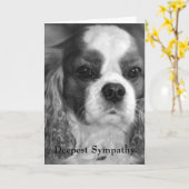 Cavalier King Charles Spaniel Deepest sympathie Kaart (Gele Bloem)