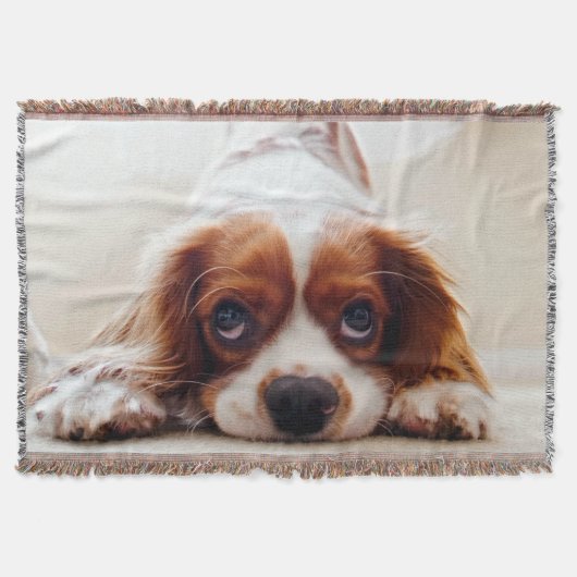 Cavalier King Charles Spaniel Deken (Voorkant)