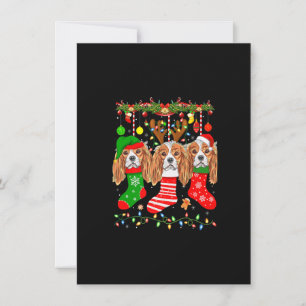 Cavalier King Charles Spaniel Dog in kerstmis Soc Kaart