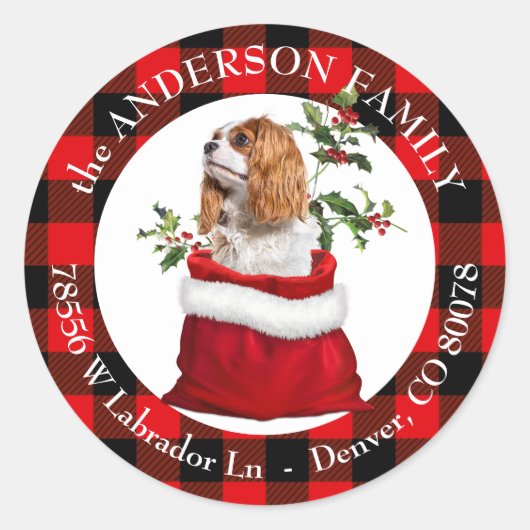 Cavalier King Charles Spaniel Dog Lijst Ronde Sticker (Voorkant)