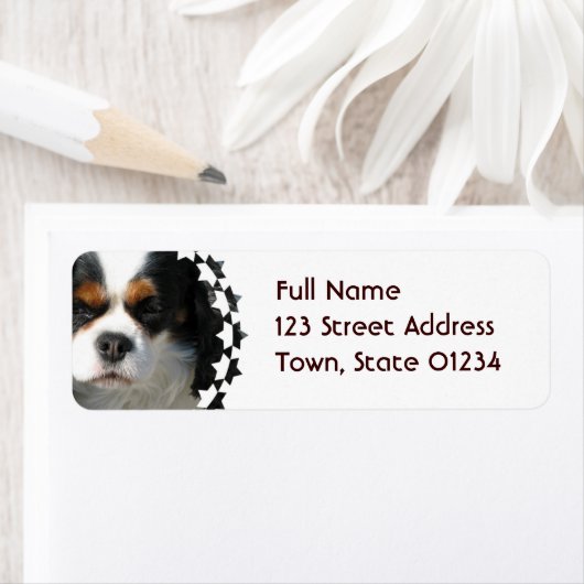 Cavalier King Charles Spaniel Dog Mailing Label (Insitu)