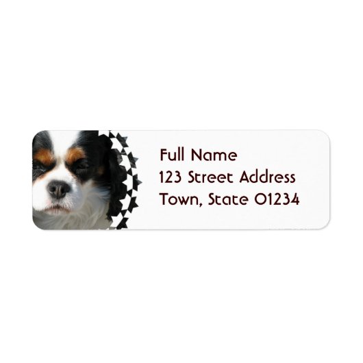 Cavalier King Charles Spaniel Dog Mailing Label (Voorkant)