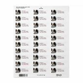 Cavalier King Charles Spaniel Dog Mailing Label (Full Sheet)