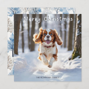 Cavalier King Charles Spaniel Dog Merry Kerstmis Feestdagenkaart