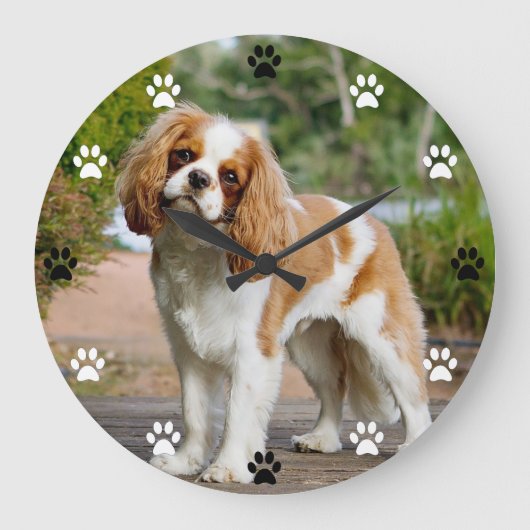 Cavalier King Charles Spaniel Dog - Pauw Print Tim Grote Klok (Voorkant)