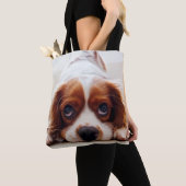 Cavalier King Charles Spaniel Draagtas (Dichtbij)