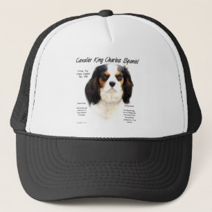 Cavalier King Charles Spaniel (driekleur) Geschied Trucker Pet