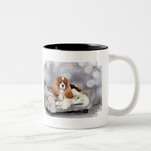 Cavalier King Charles Spaniel - Ethan Tweekleurige Koffiemok