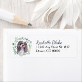 Cavalier King Charles Spaniel Etiket (Insitu)