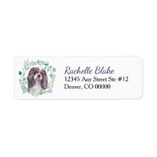 Cavalier King Charles Spaniel  Etiket