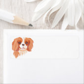 Cavalier King Charles Spaniel Etiket (Insitu)