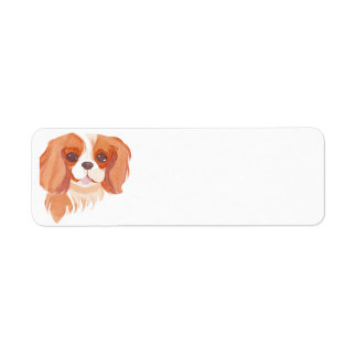 Cavalier King Charles Spaniel Etiket