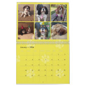 Cavalier King Charles Spaniel FB Calendrier du gro (Jan 2026)