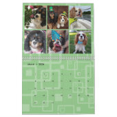 Cavalier King Charles Spaniel FB Calendrier du gro (Mar 2026)