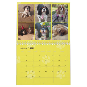 Cavalier King Charles Spaniel FB Calendrier du gro