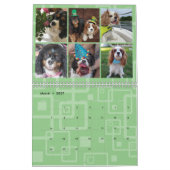 Cavalier King Charles Spaniel FB Calendrier du gro (Mar 2027)