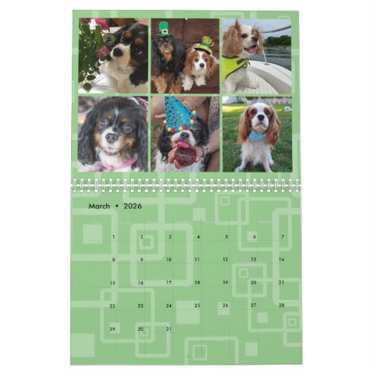 Cavalier King Charles Spaniel FB Calendrier du gro (Mar 2026)