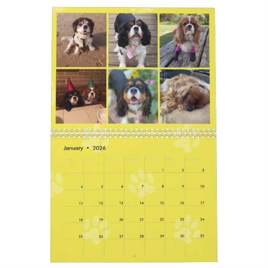 Cavalier King Charles Spaniel FB Group Calendar (3 Kalender (Jan 2026)