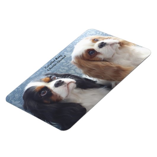 Cavalier King Charles Spaniel Flexibele Magneet (Linkerzijde)