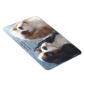 Cavalier King Charles Spaniel Flexibele Magneet (Rechterzijde)