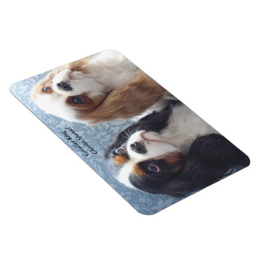 Cavalier King Charles Spaniel Flexibele Magneet (Rechterzijde)