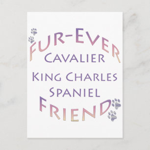 Cavalier King Charles Spaniel Furever Briefkaart