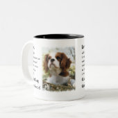 Cavalier King Charles Spaniel Gifts Tweekleurige Koffiemok (Voorkant links)