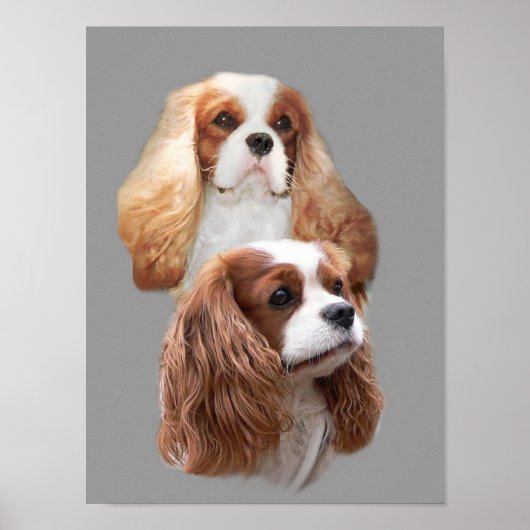 Cavalier King Charles Spaniel Girls print (Voorkant)
