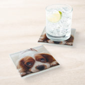 Cavalier King Charles Spaniel Glazen Onderzetter (Schuin)
