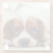 Cavalier King Charles Spaniel Glazen Onderzetter (Achterkant)