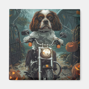Cavalier King Charles Spaniel Halloween Griezelen Magneet