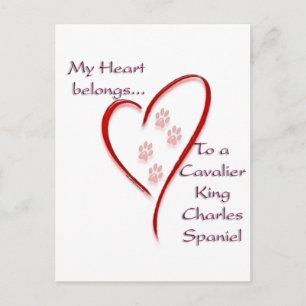 Cavalier King Charles Spaniel Hart Behoort Briefkaart