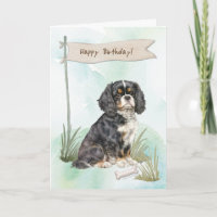 Cavalier King Charles Spaniel Hond onder Verjaarda