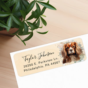 Cavalier King Charles Spaniel-hond retouradres Etiket