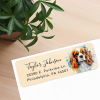 Cavalier King Charles Spaniel-hond retouradres