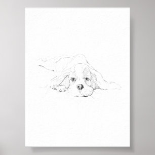 Cavalier King Charles Spaniel Huisdier Poster